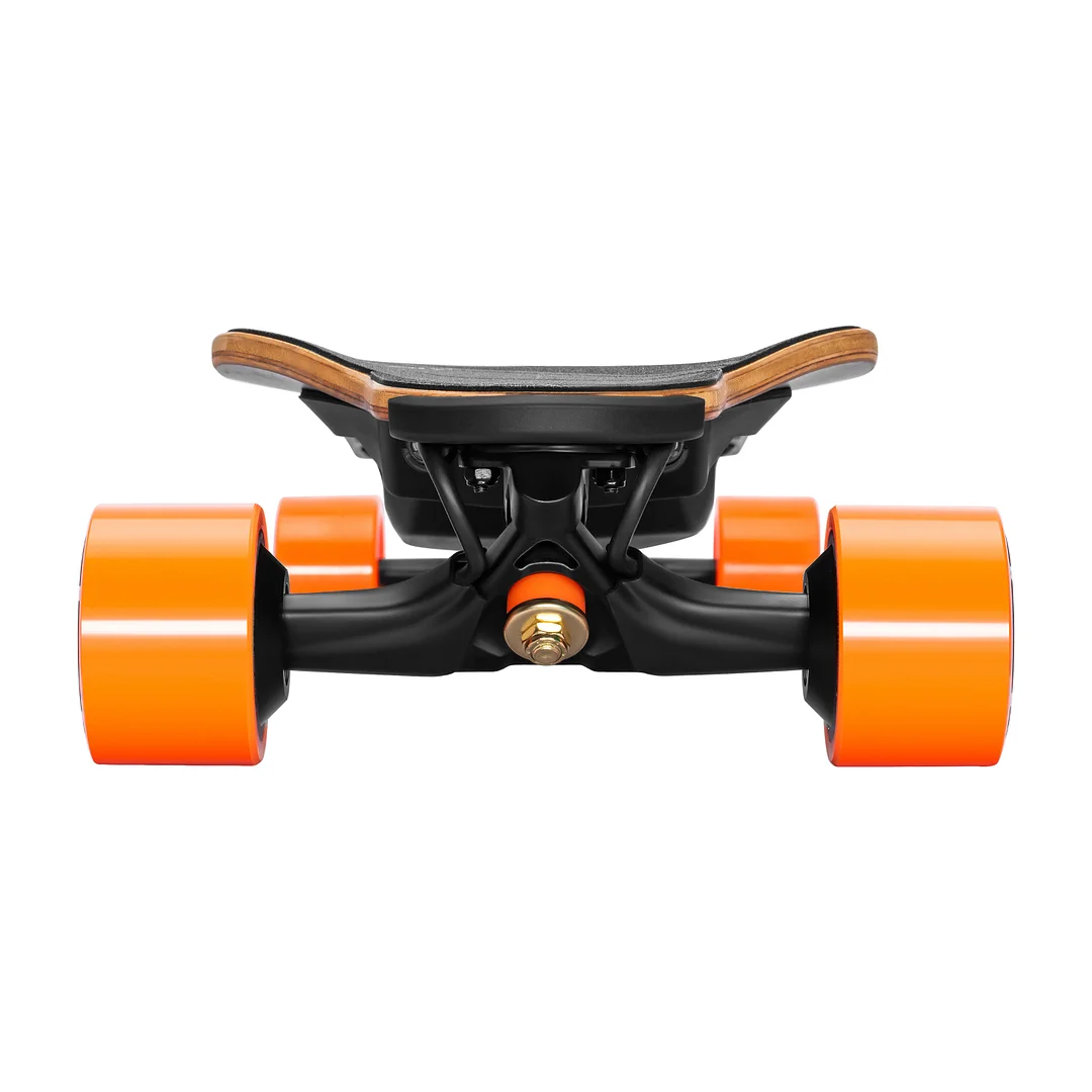 EXWAY FLEX Electric Skateboard