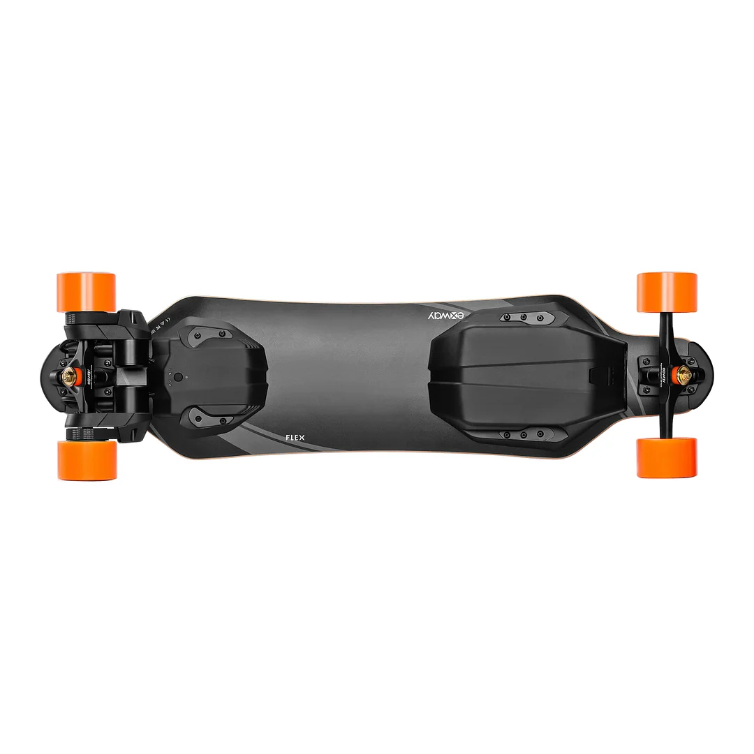 EXWAY FLEX Electric Skateboard